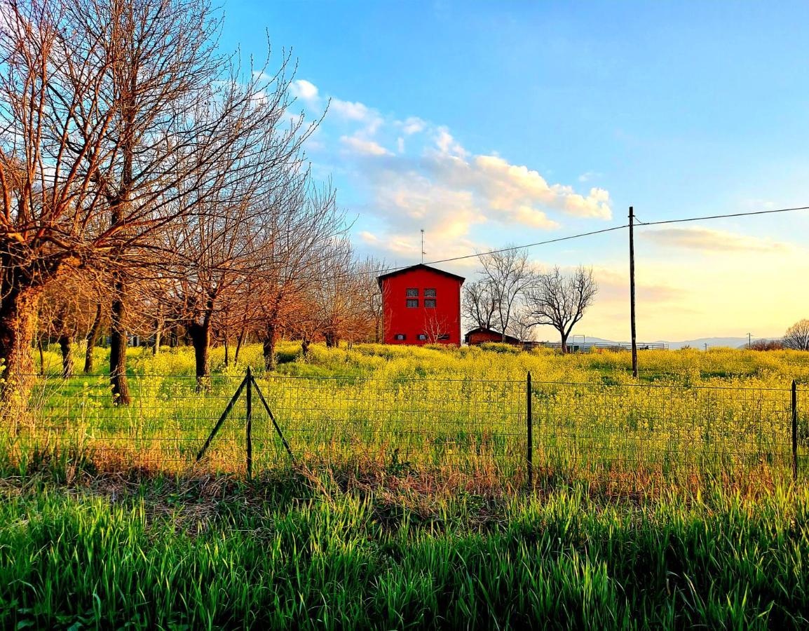 Agriturismo Azienda Agricola Ferrari M.Rita Pozza Exterior foto